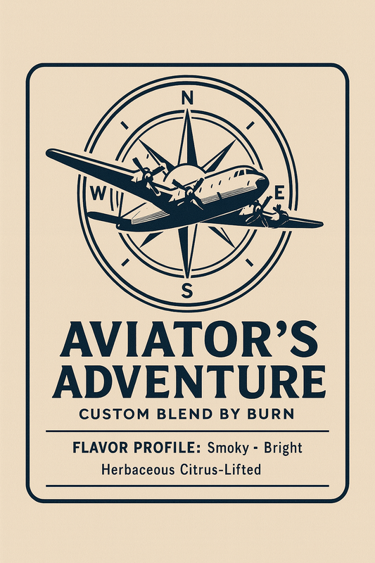 Aviator's Adventure: Persona Blend